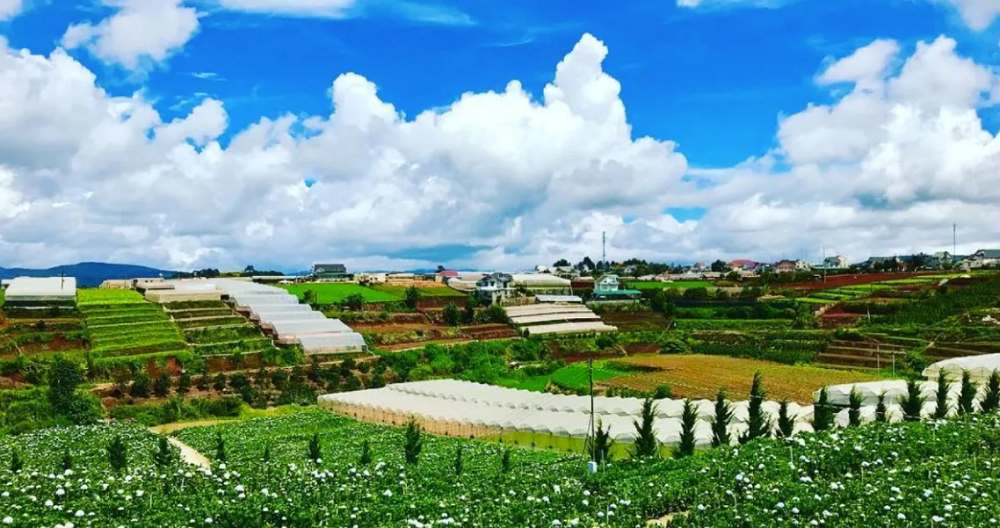 Đầu tư đất Đà Lạt khu vực Trại Mát